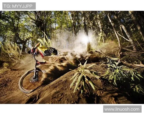 广州极限运动队在世界街舞大赛中的战术表现深度解析与点评